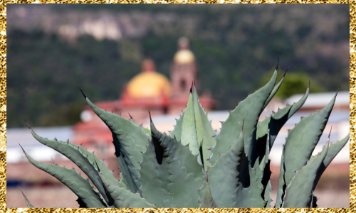 hispanic heritage month art project - cactus