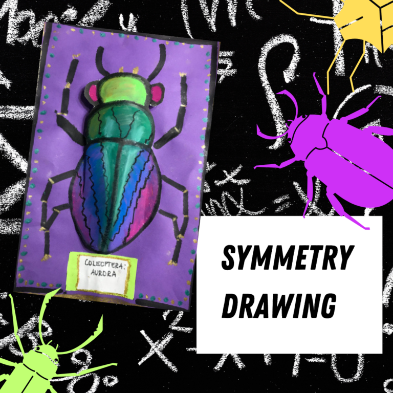 teaching math through art giant beetle